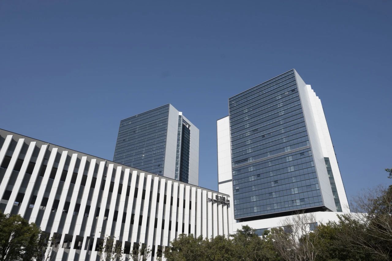 The auspicious snake is on its way, and we are heading for a new journey togethe